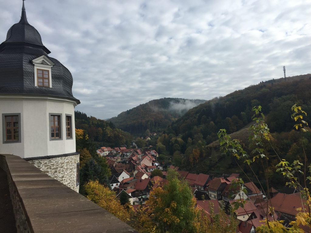 Blick vom Schloss auf die Stadt.